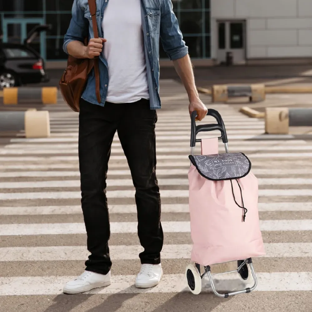 Carrello Portaspesa con Manico e 2 Ruote Metallo Zincato Borsa da 33LT Rosa