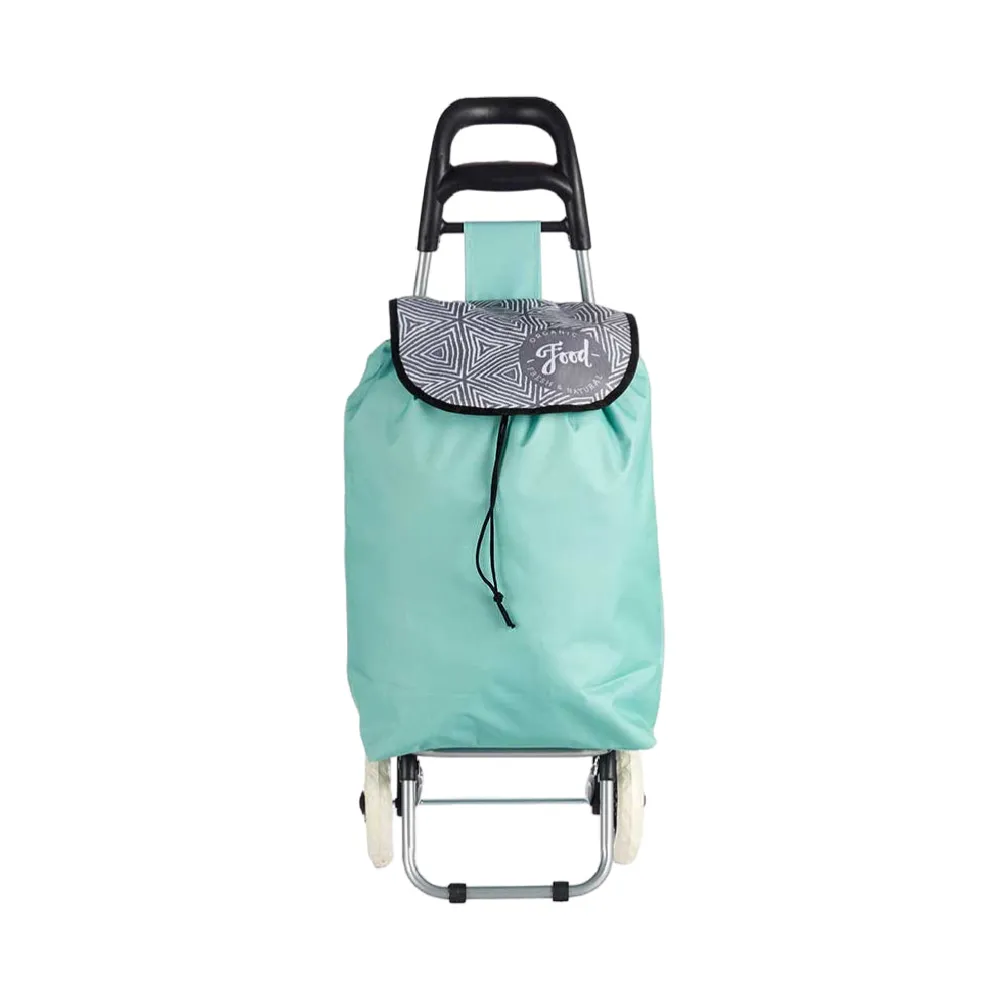 Carrello Portaspesa 2 Ruote e Maniglia Metallo Zincato Antipioggia Verde