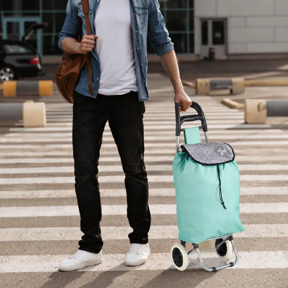 Carrello Portaspesa 2 Ruote e Maniglia Metallo Zincato Antipioggia Verde