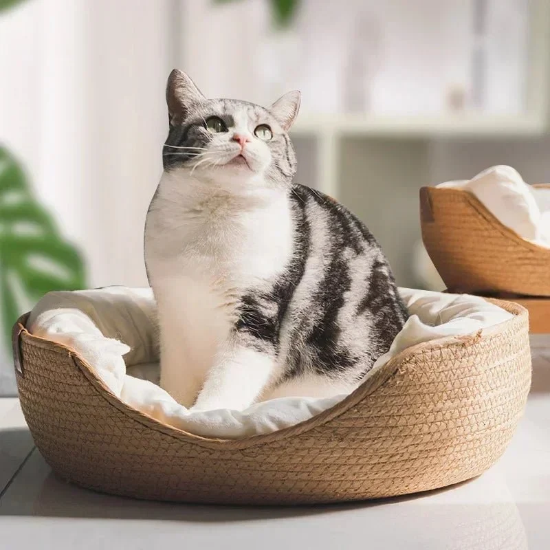 BAMBOONEST – Divano per gatti ecologico con design cotone traspirante Cozey Maison