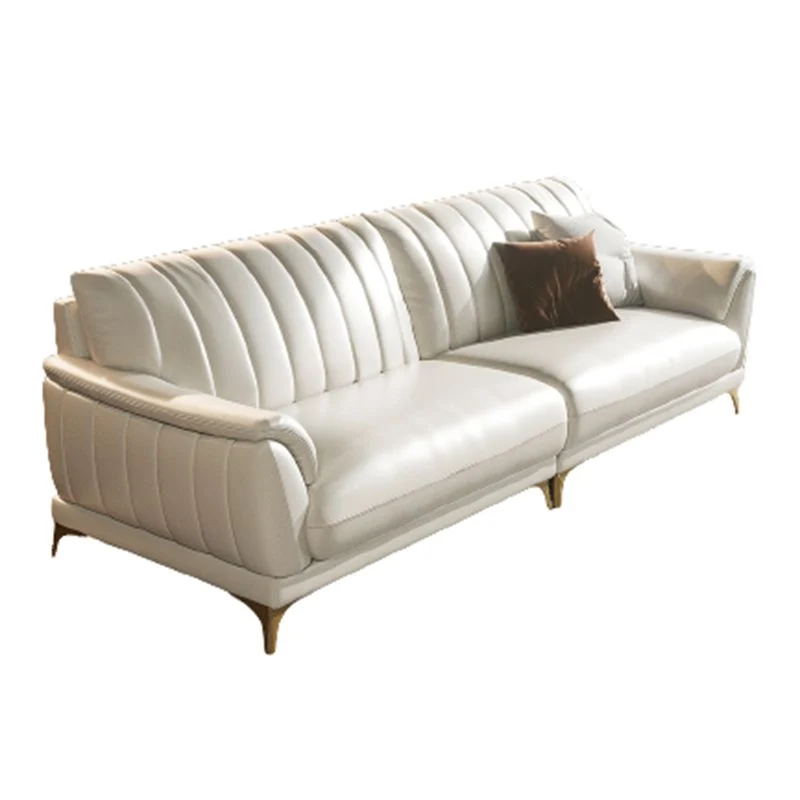 Divano pelle resistente alle macchie Divano con braccioli con rivestimento superiore standard moderno Clearhalo