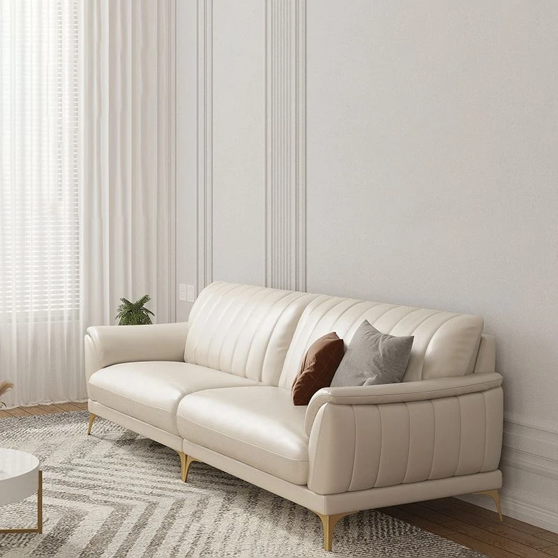 Divano pelle resistente alle macchie Divano con braccioli con rivestimento superiore standard moderno Clearhalo