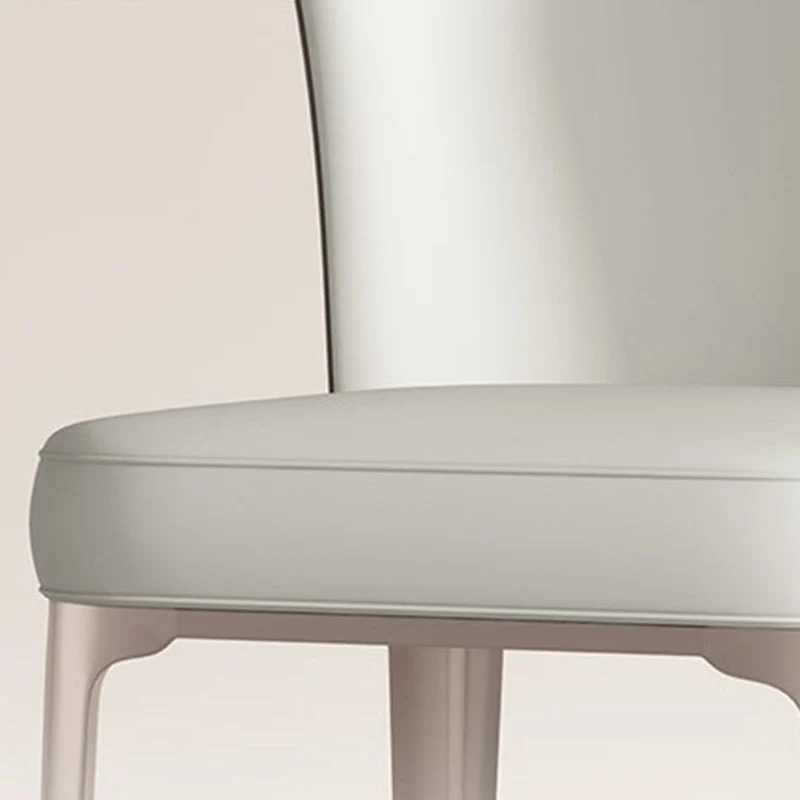 Glam Parsons Side Chair Sedia da pranzo per interni pelle con base metallo Clearhalo