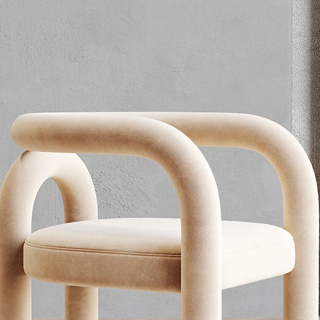 Sedia da pranzo aperta con finitura opaca Poltrona da soggiorno stile designer velluto Clearhalo