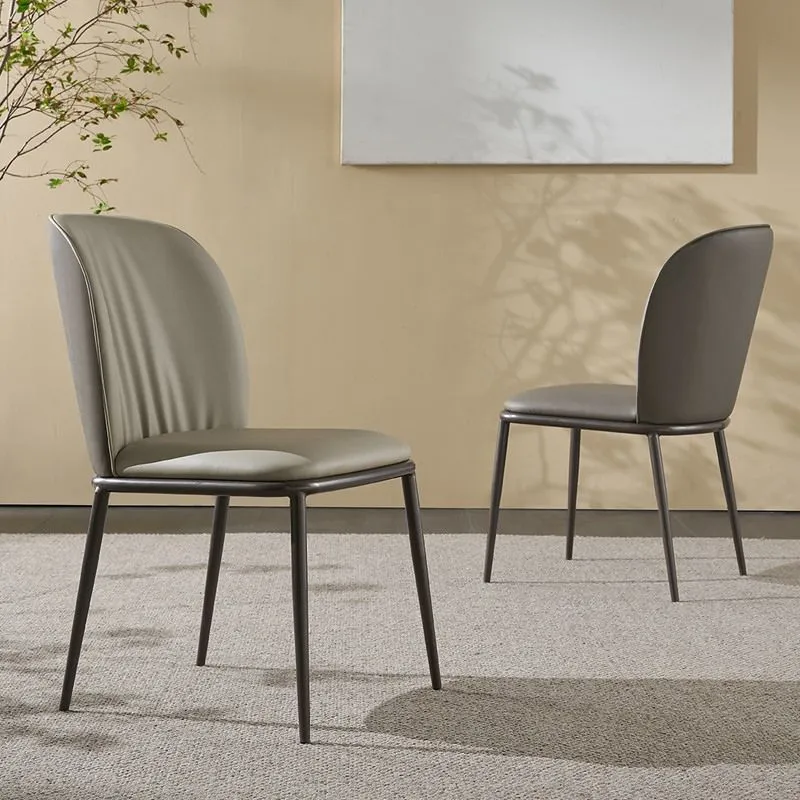 Sedia da pranzo contemporanea Sedie da pranzo senza braccioli con gambe metallo per cucina Clearhalo
