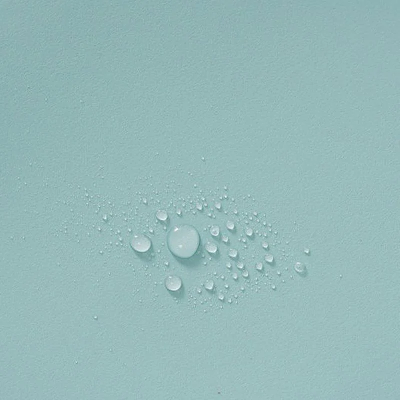 Sedia da pranzo plastica Sedia da pranzo senza braccioli stile moderno con schienale aperto Clearhalo