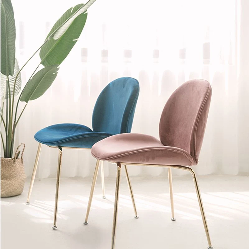 Sedia da pranzo stile glamour Sedia laterale da pranzo imbottita per interni Clearhalo