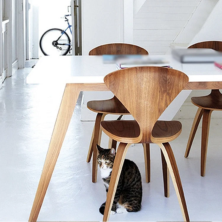 Sedie da pranzo contemporanee legno massello Sedie da pranzo senza braccioli per uso domestico Clearhalo