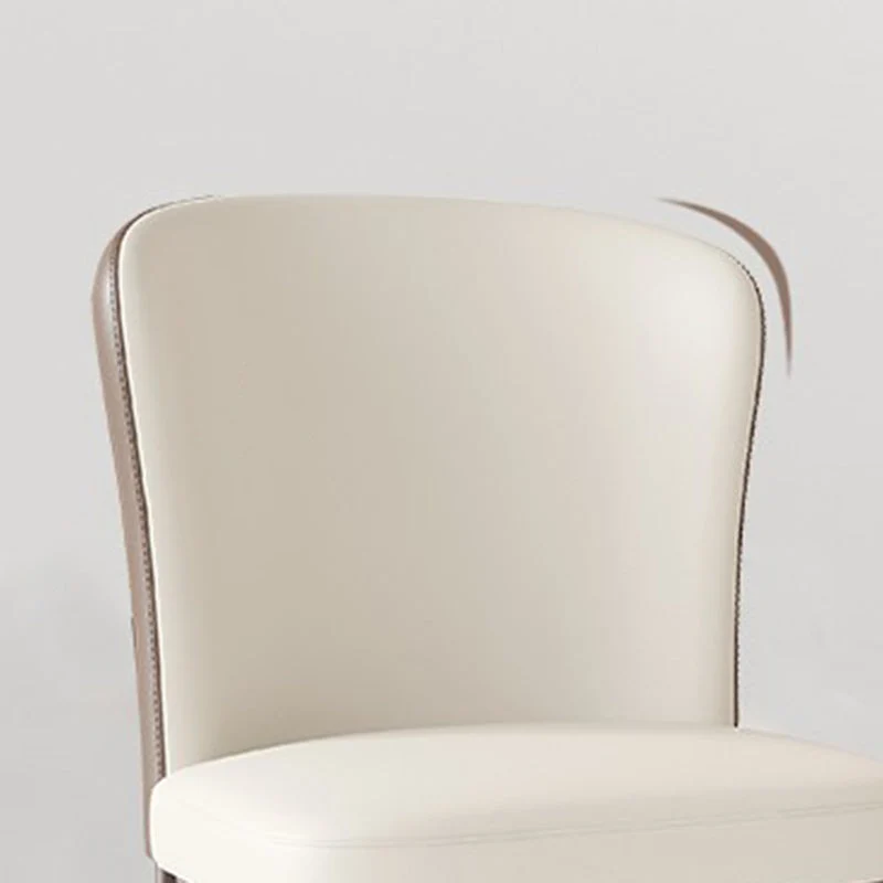 Sedie da pranzo contemporanee Sedie da pranzo senza braccioli con gambe metallo Clearhalo