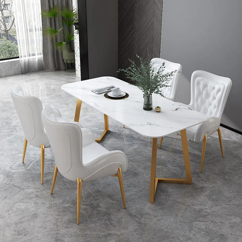 Sedie da pranzo metallo stile nordico Sedia laterale imbottita per uso ristorante Clearhalo