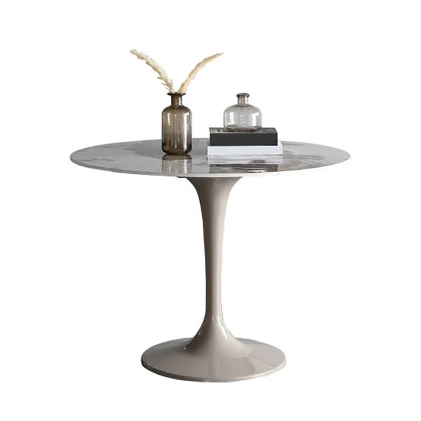 Set da pranzo moderno pietra sinterizzata Set da pranzo rotondo 1/2/4/5 pezzi Clearhalo