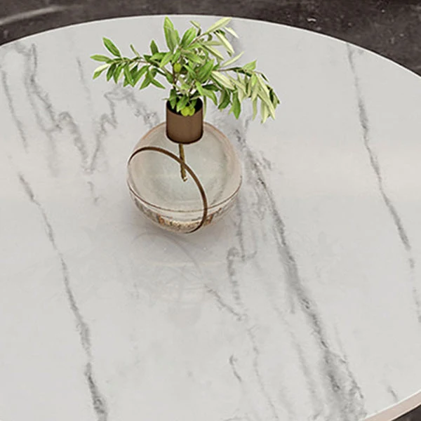 Tavolo da pranzo pietra sinterizzata Tavolo da pranzo rotondo di lusso tradizionale tulipano Clearhalo