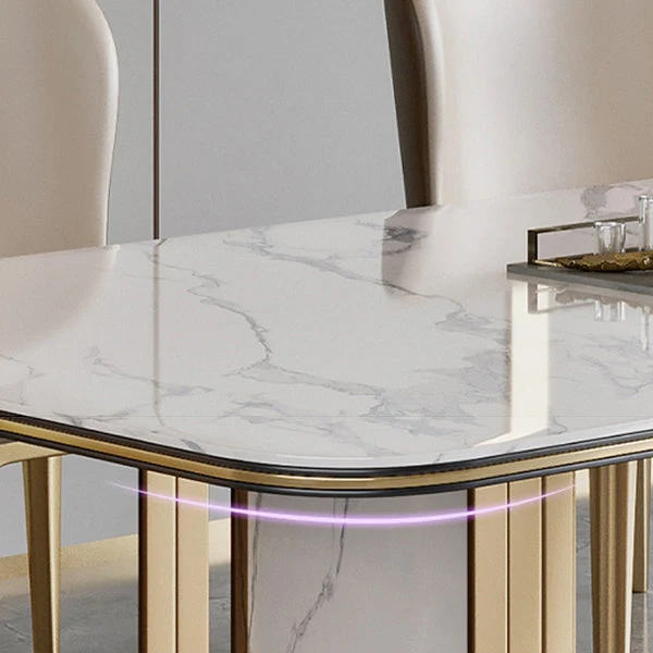 Tavolo da pranzo tradizionale di lusso con doppio piedistallo rettangolare per la casa Clearhalo