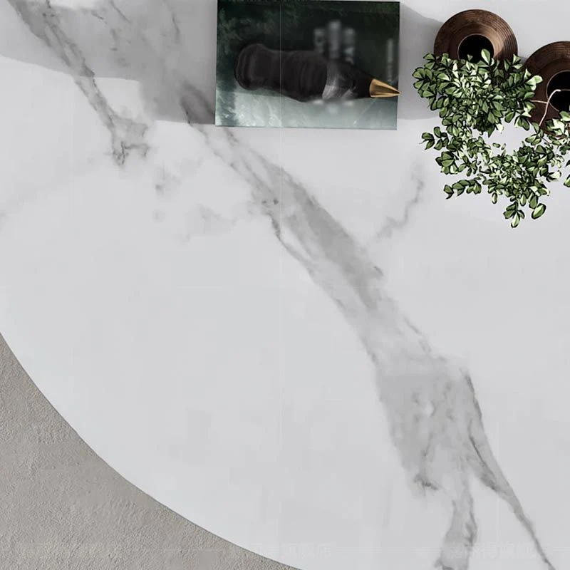 Tavolo rotondo di lusso tradizionale metallo con tavolo da pranzo pietra sinterizzata con base tulipano per la casa Clearhalo