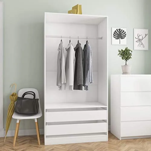 GOTOTOP Armadio Aperto Appendiabiti 100 x 50 x 200 cm Armadio Aperto Camera da Letto con 2 Cassetti 1 Ampio Scomparto con...