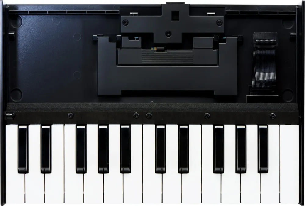 K25M