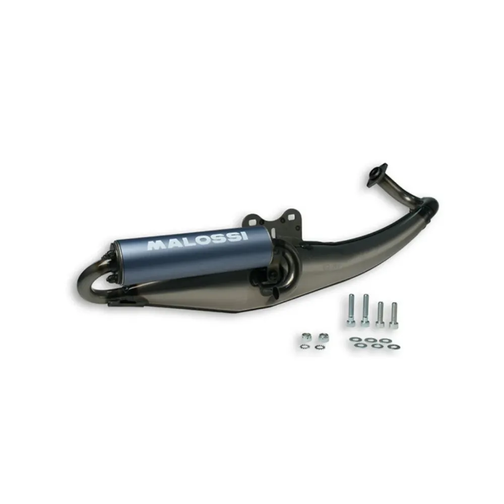 Malossi Scadio Flip Piaggio 2 ictus