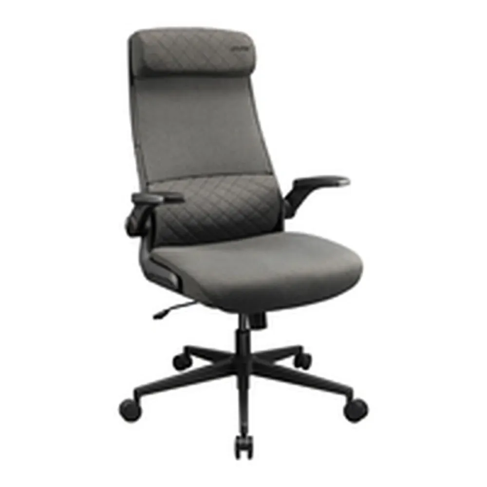 Sedia Gaming Cougar 3MSTDGRB.0001 Nero Grigio