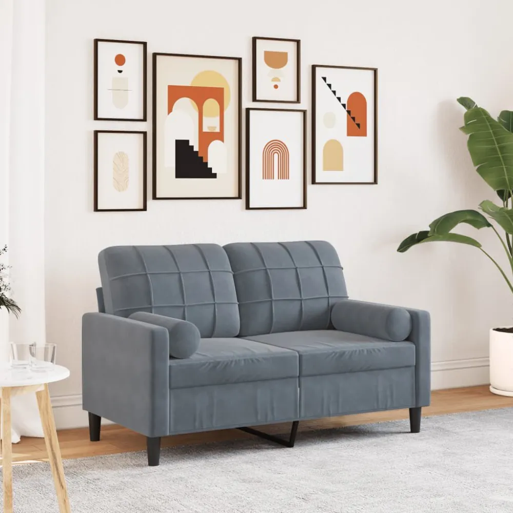 Divano 2 Posti con Cuscini Grigio Scuro 120 cm Velluto