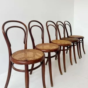 Cinque sedie Thonet