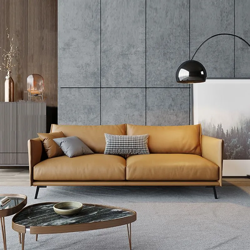 Divano standard con cuscini moderni Divano con braccioli quadrati alti da 29,53 pollici, Champagne Clearhalo