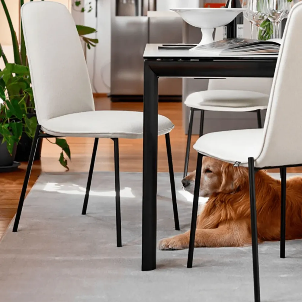 Set di sedie moderne da soggiorno "Riley" tessuto imbottito cm 48x60 95h Connubia