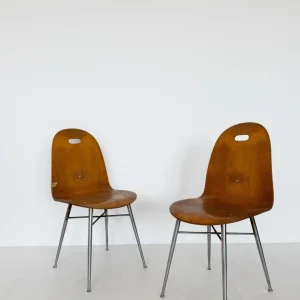 Coppia sedie legno curvato