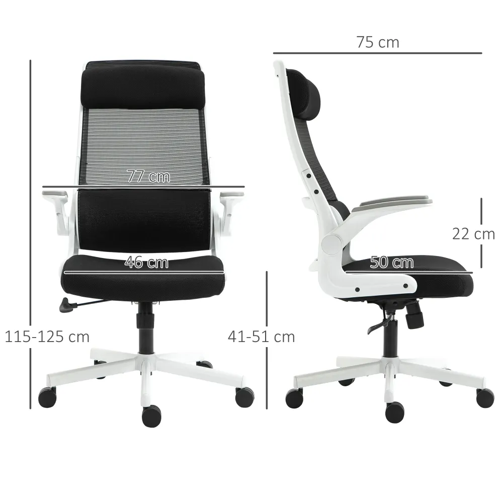 EASYCOMFORT Sedia da Ufficio Reclinabile ad Altezza Regolabile con Braccioli Ribaltabili, 77x75x115-125 cm