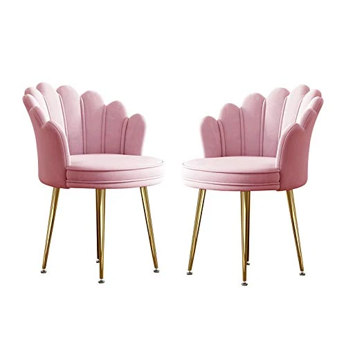 LIUD Sedie di 2 Sedie Sgabello per Tavolo da Trucco con Schienale Petalo Sedia da Reception Sedia Stile Nordico Adatta per...