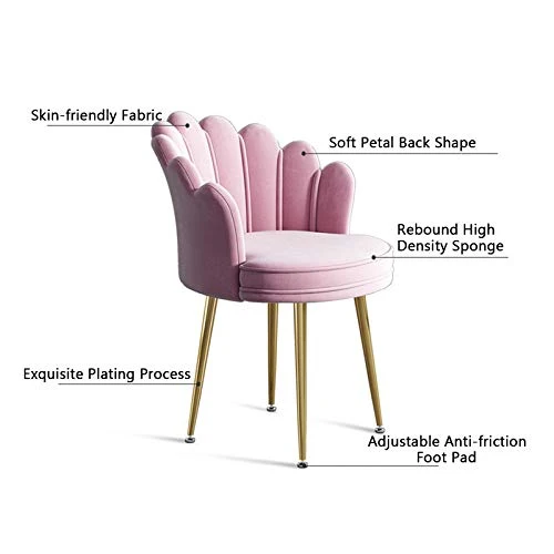 LIUD Sedie di 2 Sedie Sgabello per Tavolo da Trucco con Schienale Petalo Sedia da Reception Sedia Stile Nordico Adatta per...