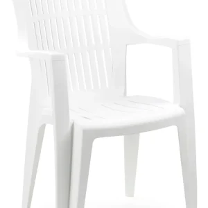 Sedia Arpa Cm. 55X60X91 H Col. Bianco