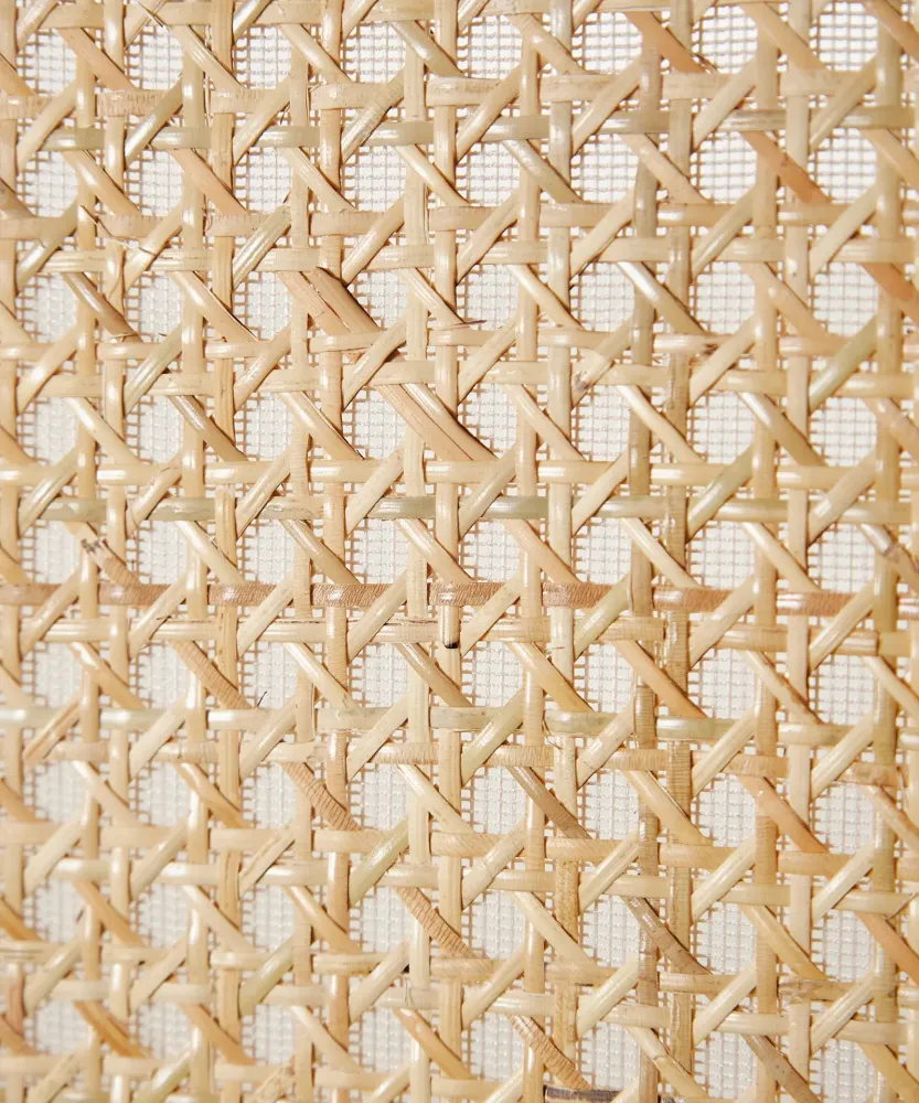 Sedia legno e imbottita con braccioli Pauline Arms - Color Edition