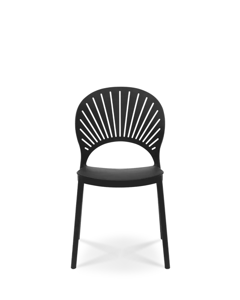 Sedia di plastica di eugenia nera