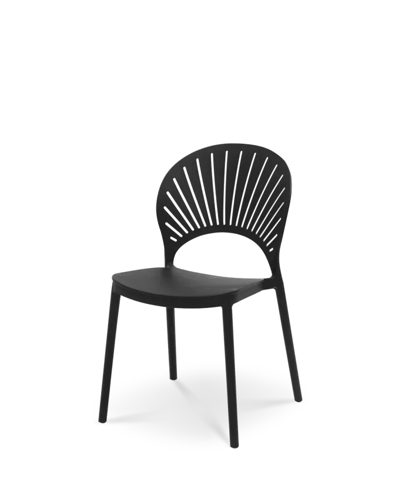 Sedia di plastica di eugenia nera