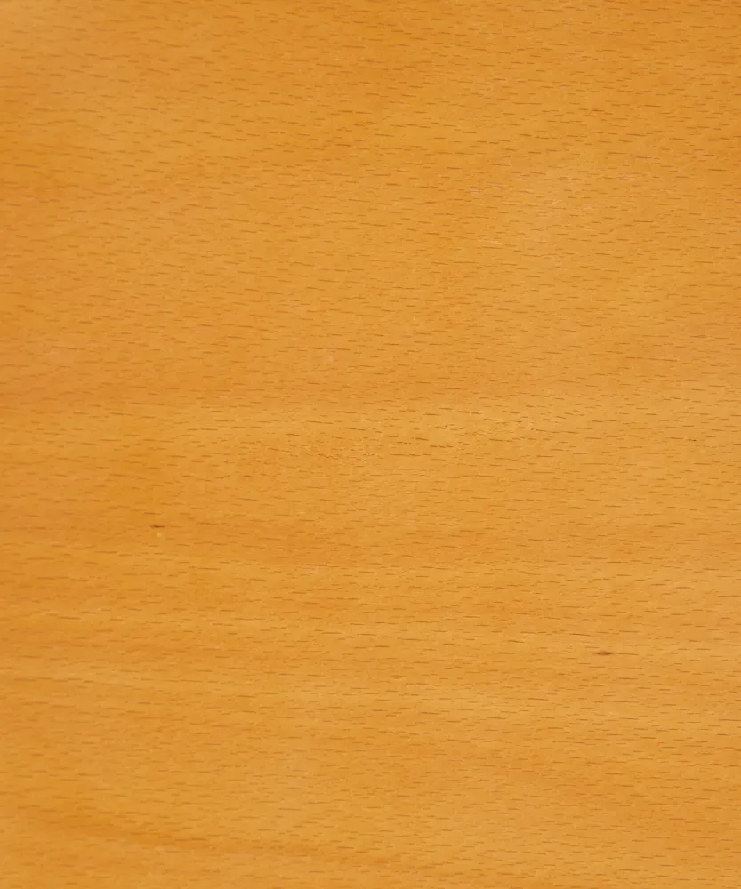 Sedia da pranzo legno Alara