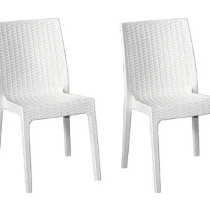 Sedia selene simil rattan set da 2 pezzi colore bianco