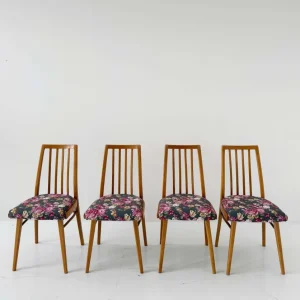 Set di 4 sedie della Repubblica Ceca, anni ’60 – rivestimento nuovo