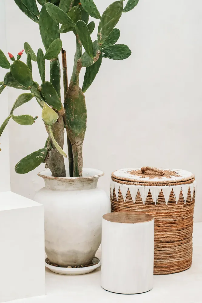 Lo Sgabello Tribe - Naturale Bianco
