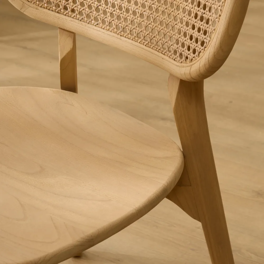 Pack 4 sedie Dari Wood Wabi Home