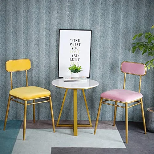 X.Home. Bar stool Sedia da Pranzo per Soggiorno, Sedia per Negozio di Bellezza Sedia per Negozio di Dolci per caffè Casual...